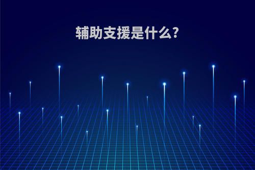 辅助支援是什么?