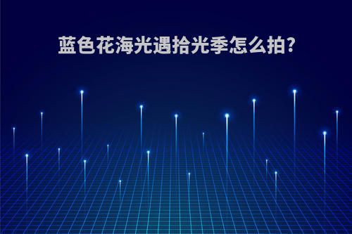 蓝色花海光遇拾光季怎么拍?