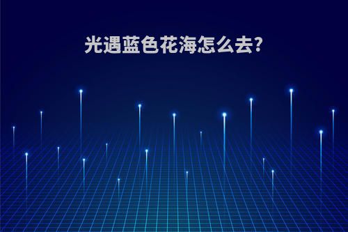 光遇蓝色花海怎么去?
