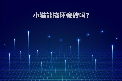 小猫能挠坏瓷砖吗?