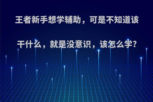王者新手想学辅助，可是不知道该干什么，就是没意识，该怎么学?