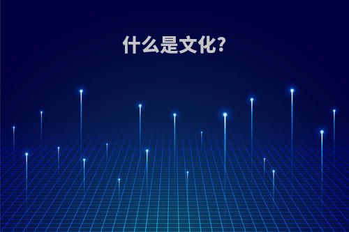 什么是文化?