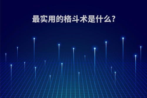 最实用的格斗术是什么?