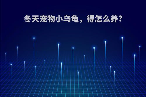 冬天宠物小乌龟，得怎么养?