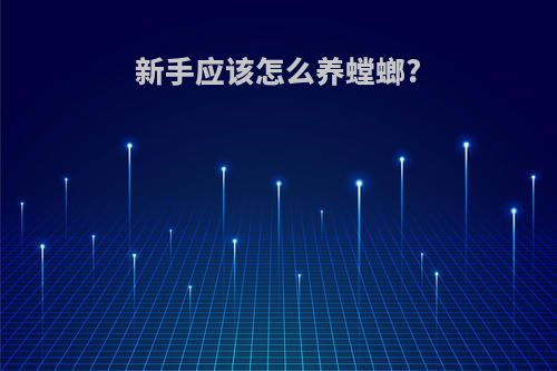 新手应该怎么养螳螂?