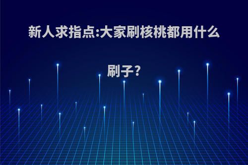 新人求指点:大家刷核桃都用什么刷子?