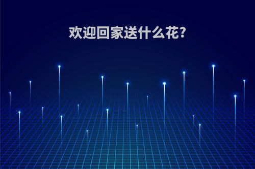 欢迎回家送什么花?