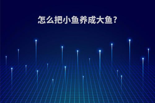 怎么把小鱼养成大鱼?