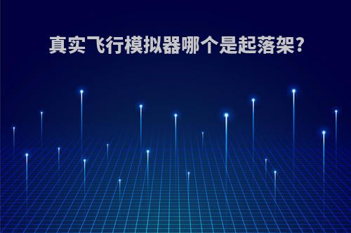 真实飞行模拟器哪个是起落架?