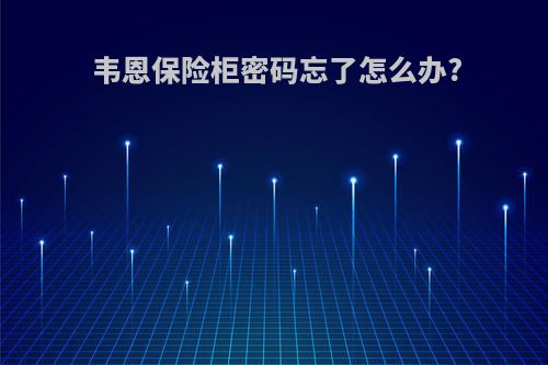 韦恩保险柜密码忘了怎么办?