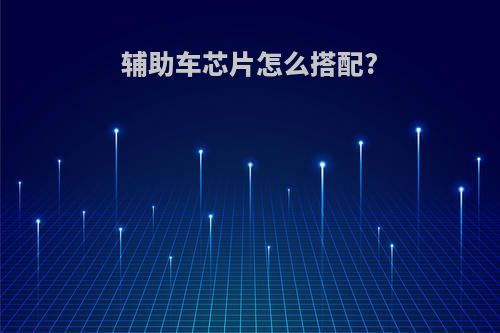 辅助车芯片怎么搭配?