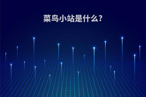 菜鸟小站是什么?