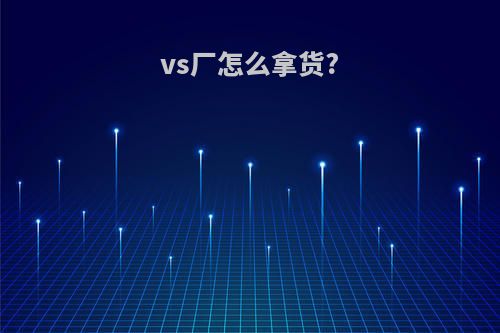 vs厂怎么拿货?