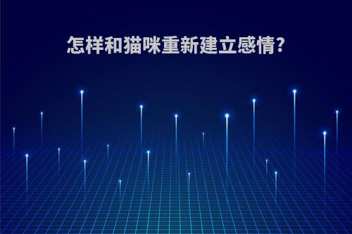 怎样和猫咪重新建立感情?