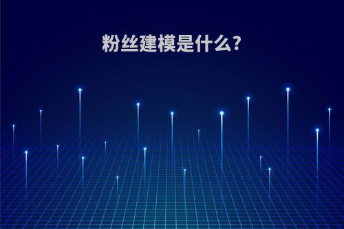 粉丝建模是什么?