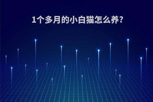 1个多月的小白猫怎么养?