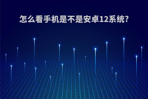 怎么看手机是不是安卓12系统?