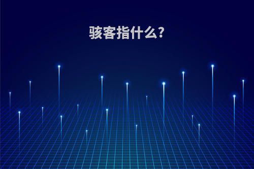 骇客指什么?