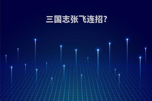 三国志张飞连招?