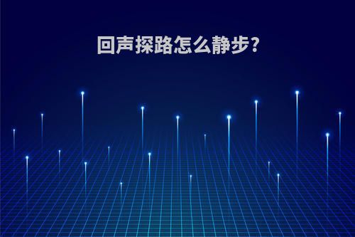 回声探路怎么静步?