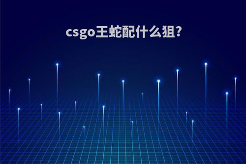 csgo王蛇配什么狙?