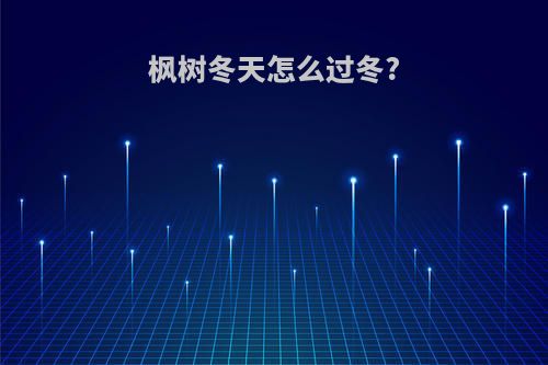 枫树冬天怎么过冬?