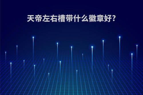 天帝左右槽带什么徽章好?