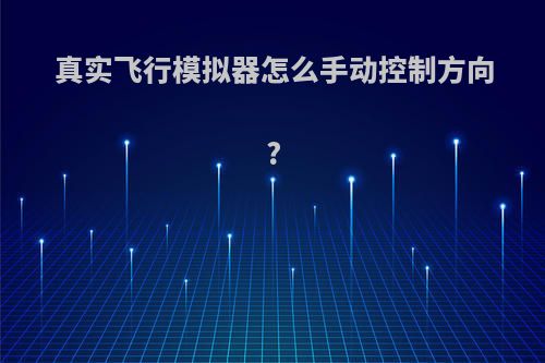 真实飞行模拟器怎么手动控制方向?
