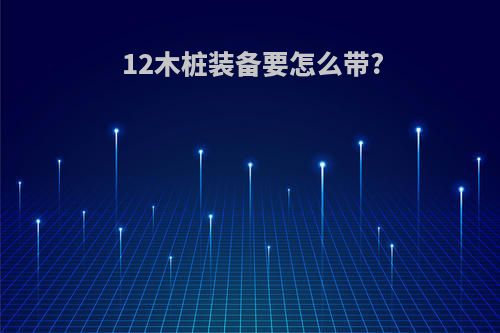 12木桩装备要怎么带?