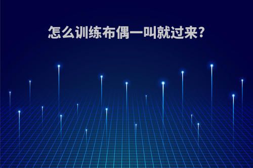 怎么训练布偶一叫就过来?