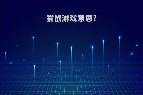 猫鼠游戏意思?
