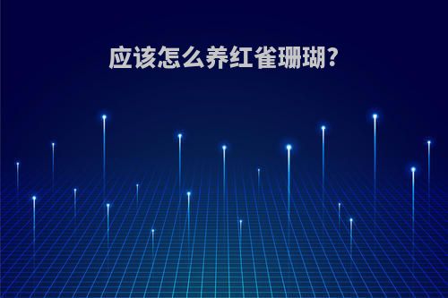 应该怎么养红雀珊瑚?