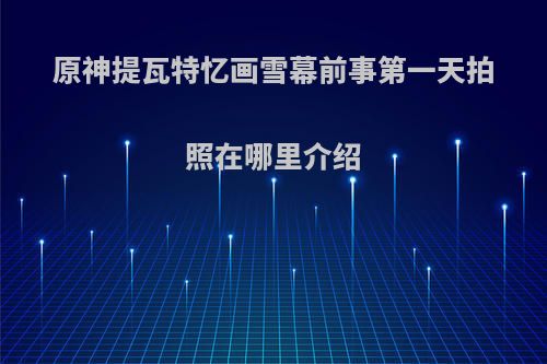 原神提瓦特忆画雪幕前事第一天拍照在哪里介绍