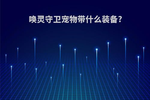 唤灵守卫宠物带什么装备?