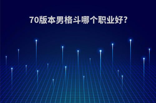 70版本男格斗哪个职业好?
