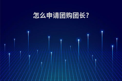怎么申请团购团长?