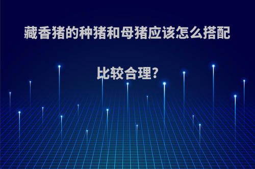 藏香猪的种猪和母猪应该怎么搭配比较合理?