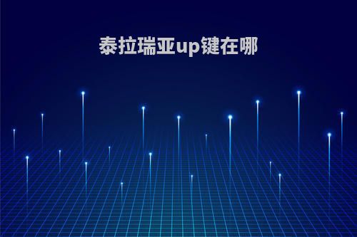 泰拉瑞亚up键在哪