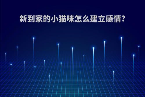 新到家的小猫咪怎么建立感情?