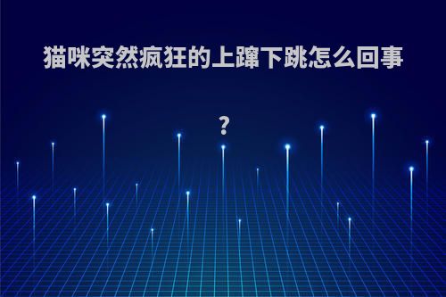 猫咪突然疯狂的上蹿下跳怎么回事?