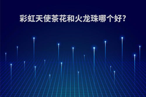 彩虹天使茶花和火龙珠哪个好?
