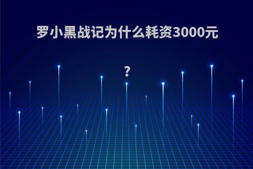 罗小黑战记为什么耗资3000元?